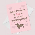 Dachshund Sausage Dog Mothers Day Card From Pet