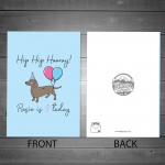 Funny Birthday Card For The Dog Novelty Dachshund Card For Dog
