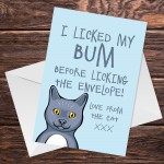 Funny Birthday Card From The Cat Pet Animal Cat Bum Rude Card