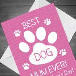 Funny Mothers Day Card From Dog Best Dog Mum Card For Dog Lover