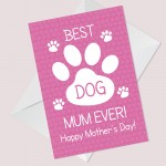 Funny Mothers Day Card From Dog Best Dog Mum Card For Dog Lover