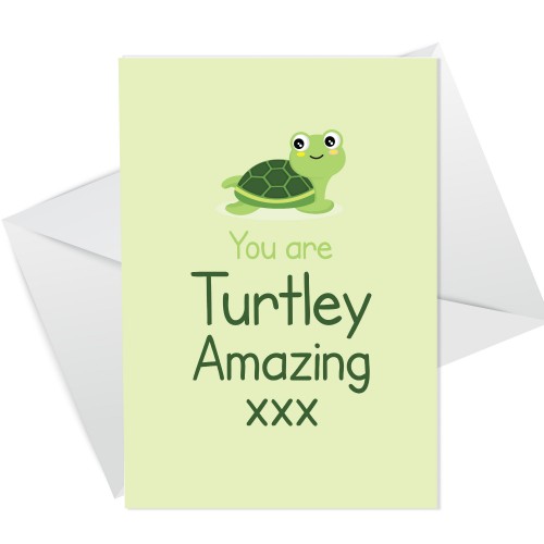 You Are Turtley Amazing Card For Him Her Funny Card For Men
