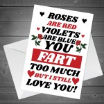 Funny Joke Anniversary Card Poem Valentines Birthday Card