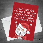 Funny Rude Christmas Card From Cat For Dad Mum Offensive Xmas