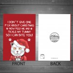 Funny Rude Christmas Card From Cat For Dad Mum Offensive Xmas