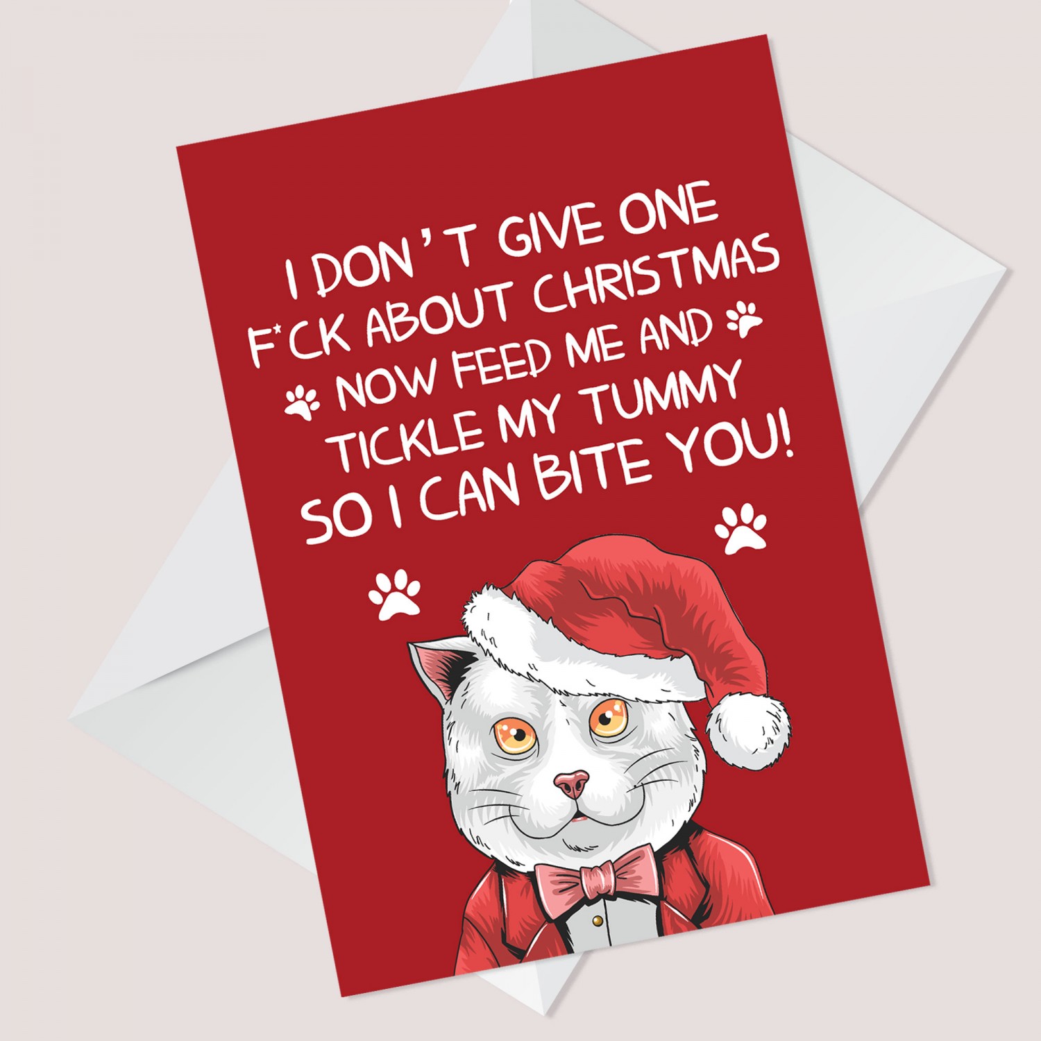 Funny Rude Christmas Card From Cat For Dad Mum Offensive Xmas