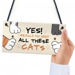 Funny Cat Sign For Women Really Need All These Cats Home Decor