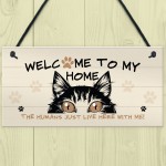 Funny Cat Sign Welcome Sign Cat Lover Gift For Women Home