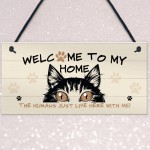Funny Cat Sign Welcome Sign Cat Lover Gift For Women Home