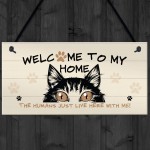 Funny Cat Sign Welcome Sign Cat Lover Gift For Women Home