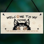 Funny Cat Sign Welcome Sign Cat Lover Gift For Women Home