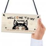 Funny Cat Sign Welcome Sign Cat Lover Gift For Women Home