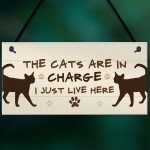 The Cats Are In Charge Hanging Sign Funny Cat Gift Home Decor