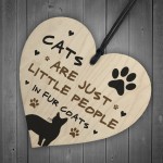 Funny Cat Gift For Cat Lovers Hanging Wood Heart Home Decor