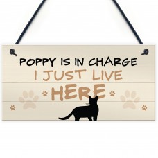 Cat In Charge Sign Funny Cat Git Personalised Hanging Door Sign