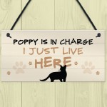 Cat In Charge Sign Funny Cat Git Personalised Hanging Door Sign