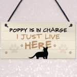 Cat In Charge Sign Funny Cat Git Personalised Hanging Door Sign