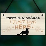 Cat In Charge Sign Funny Cat Git Personalised Hanging Door Sign