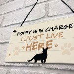 Cat In Charge Sign Funny Cat Git Personalised Hanging Door Sign