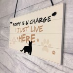 Cat In Charge Sign Funny Cat Git Personalised Hanging Door Sign