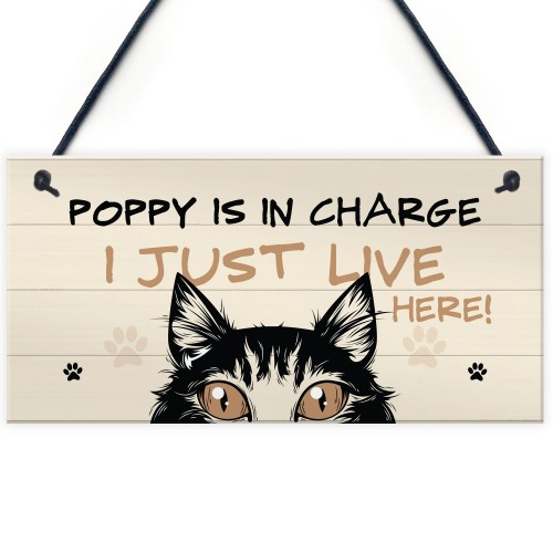 Funny Cat Sign In Charge Cat Lovers Gift For Women Home Decor