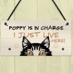 Funny Cat Sign In Charge Cat Lovers Gift For Women Home Decor
