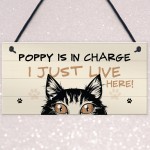 Funny Cat Sign In Charge Cat Lovers Gift For Women Home Decor