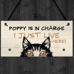 Funny Cat Sign In Charge Cat Lovers Gift For Women Home Decor