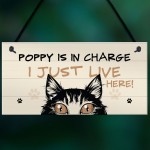 Funny Cat Sign In Charge Cat Lovers Gift For Women Home Decor