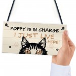 Funny Cat Sign In Charge Cat Lovers Gift For Women Home Decor
