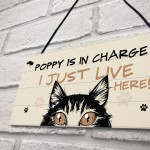 Funny Cat Sign In Charge Cat Lovers Gift For Women Home Decor