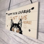 Funny Cat Sign In Charge Cat Lovers Gift For Women Home Decor