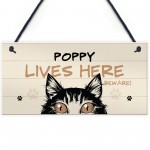 Any Name Cat Sign LIVES HERE Personalised Pet Sign Beware