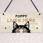 Any Name Cat Sign LIVES HERE Personalised Pet Sign Beware