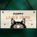 Any Name Cat Sign LIVES HERE Personalised Pet Sign Beware