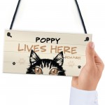 Any Name Cat Sign LIVES HERE Personalised Pet Sign Beware