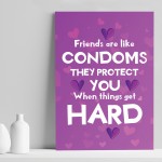 Funny Friendship Gift For Birthday Christmas Best Friend Print