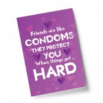 Funny Friendship Gift For Birthday Christmas Best Friend Print
