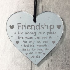 Funny Friendship Plaque Best Friend Gift Engraved Heart Thankyou