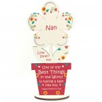 Novelty Nan Gift For Mothers Day Flower Gift From Grandchildren