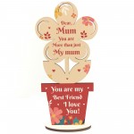 Mum Gifts Mothers Day Plaque Standing Flower Best Friend Gift