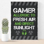 Funny Gaming Sign Bedroom Plaque Gamer Gifts For Son Brother