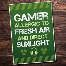 Novelty Funny Gaming Sign Plaque Gamer Gifts For Son Brother