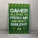 Novelty Funny Gaming Sign Plaque Gamer Gifts For Son Brother