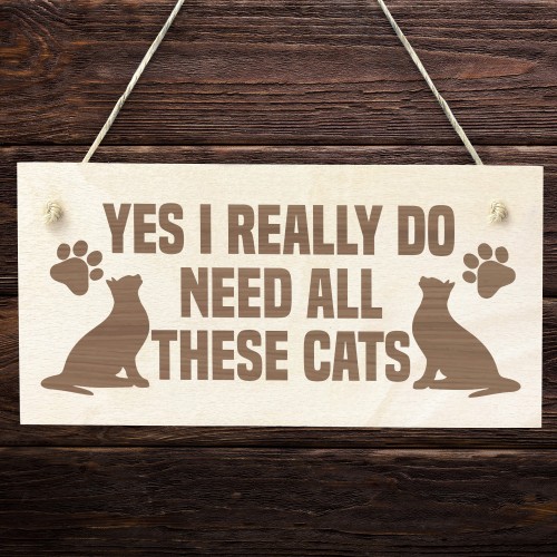 Funny Cat Signs Engraved Wooden Cat Plaque Gift For Cat Lover