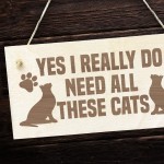 Funny Cat Signs Engraved Wooden Cat Plaque Gift For Cat Lover