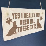 Funny Cat Signs Engraved Wooden Cat Plaque Gift For Cat Lover