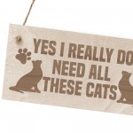 Funny Cat Signs Engraved Wooden Cat Plaque Gift For Cat Lover