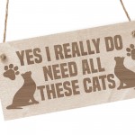 Funny Cat Signs Engraved Wooden Cat Plaque Gift For Cat Lover