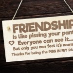 Best Friendship Gift Plaque For Special Friend Gifts For Women